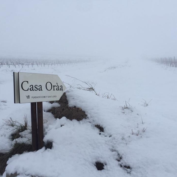 16142313_10154268497178310_777453680547934627_n