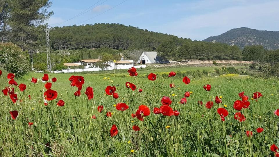 Centre Scout Casa Oràa, Moixent